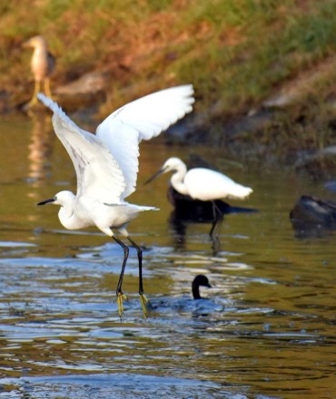 Bharatpur